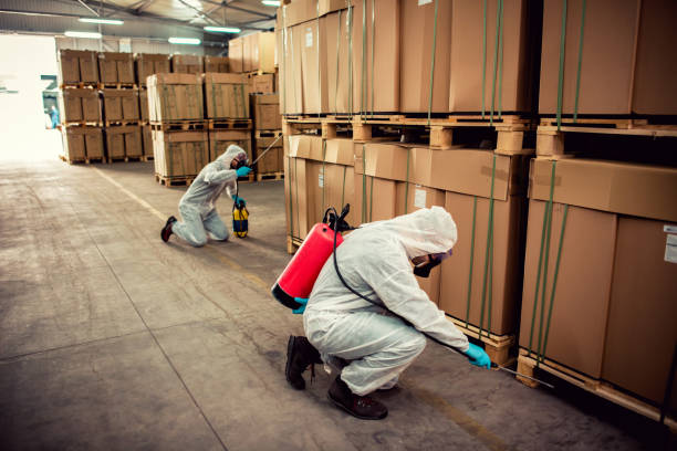 Best Pest Control Near Me  in Valparaiso, IN