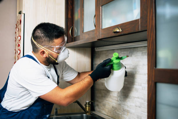 Best Bed Bug Extermination  in Valparaiso, IN
