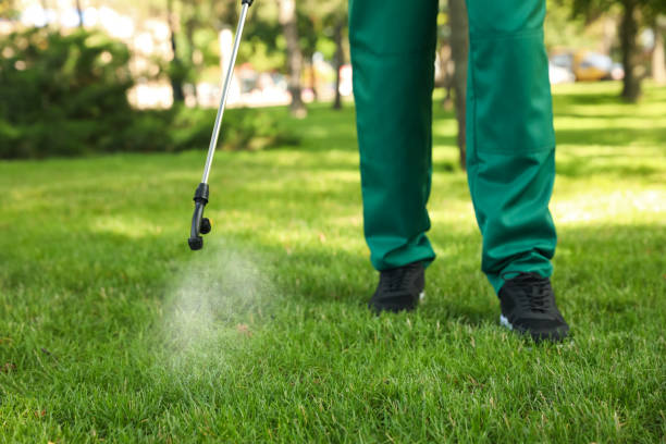 Best Wasp Removal Services  in Valparaiso, IN