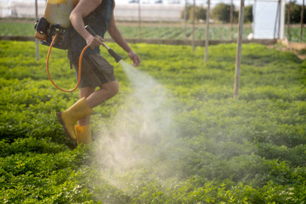Best Exterminator Services  in Valparaiso, IN