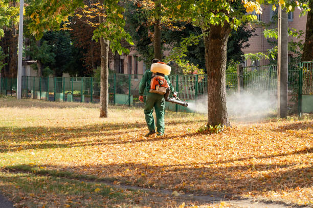 Wasp Removal Services in Valparaiso, IN