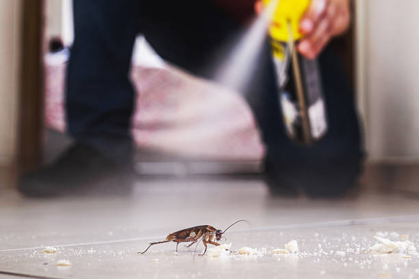 Best Local Pest Control Services  in Valparaiso, IN