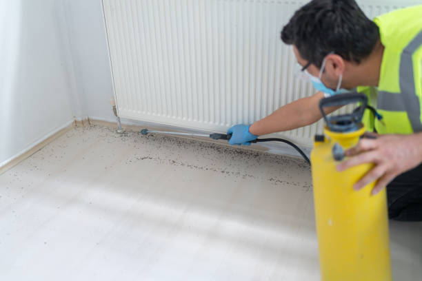 Best Flea Control Services  in Valparaiso, IN