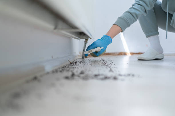 Best Cockroach Control Services  in Valparaiso, IN