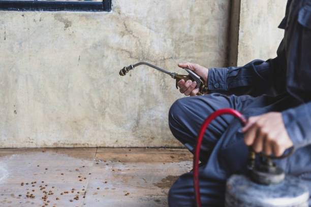 Best Pest Control Near Me  in Valparaiso, IN