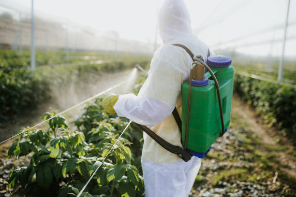 Best Wildlife Control Services  in Valparaiso, IN
